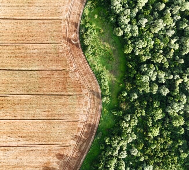 aerial-photo-flying-over-yellow-grain-wheat-field-2023-11-27-05-15-59-utc